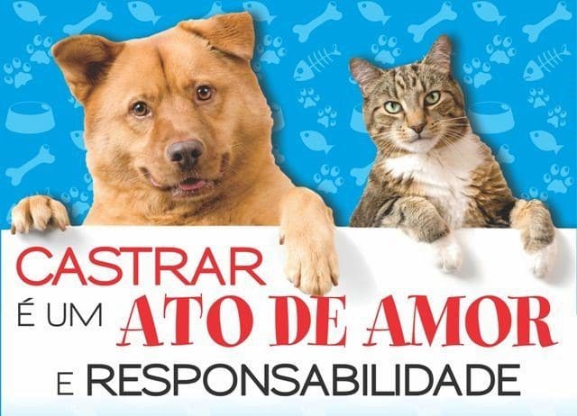 Proteção Animal divulga datas para inscrição do castramóvel