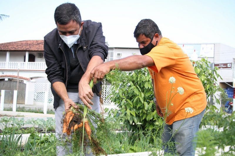 Hortas urbanas e fazenda pública promovem plantio e colheita para população