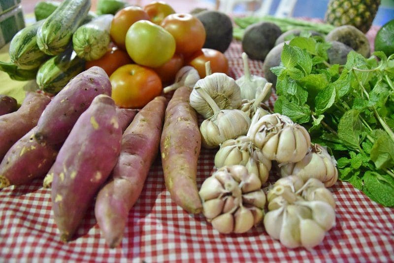 Maricá realiza chamada pública para aquisição de merenda escolar