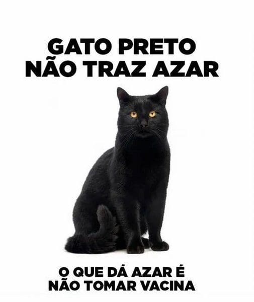 Sabe o que significa um gato preto passando na sua frente numa sexta-feira 13?