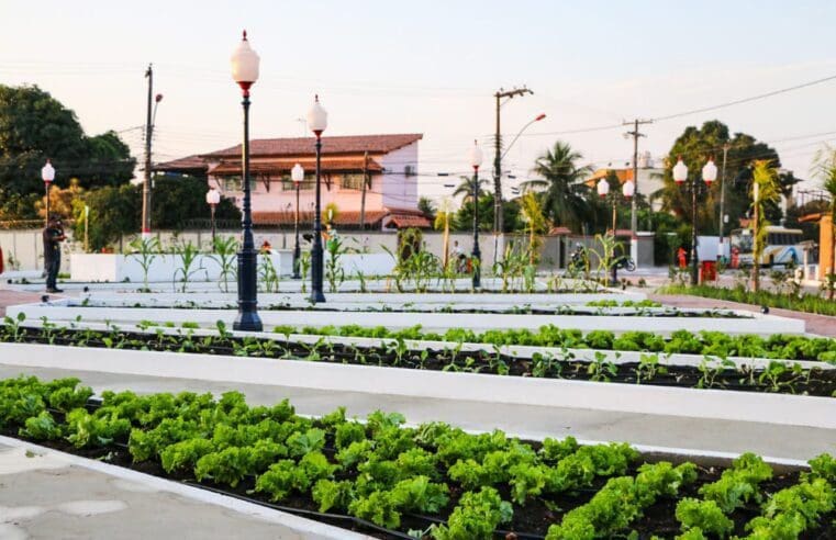 Sábado terá nova edição do projeto Sábado Agroecológico em Maricá