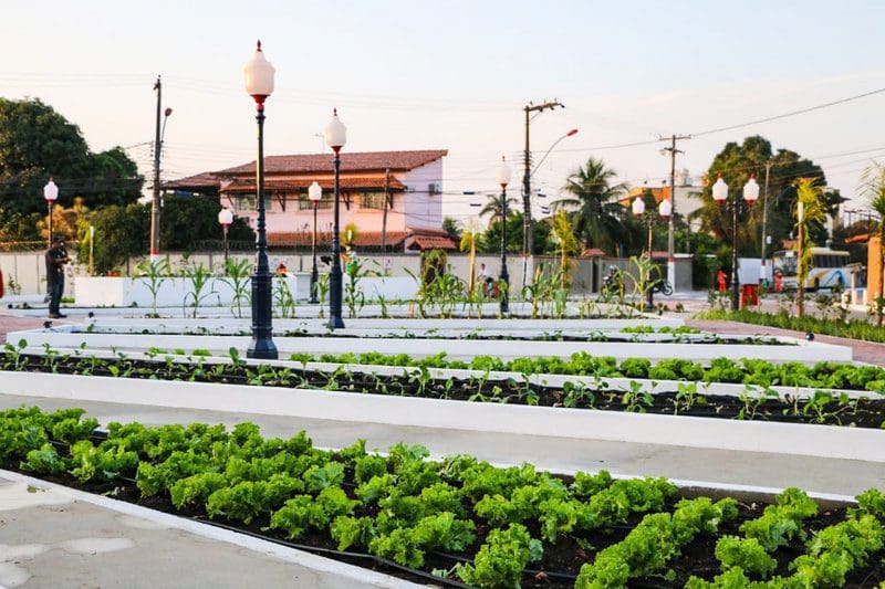 Sábado terá nova edição do projeto Sábado Agroecológico em Maricá