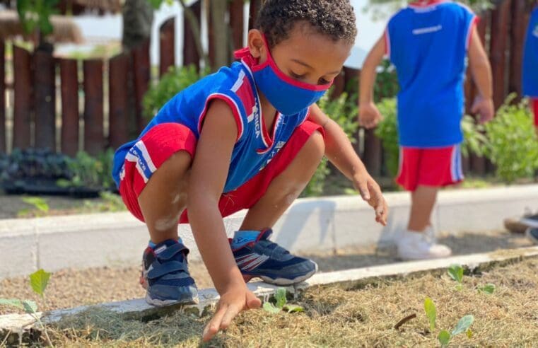 Alunos de escola municipal de Maricá participaram do plantio de hortaliças em Guaratiba