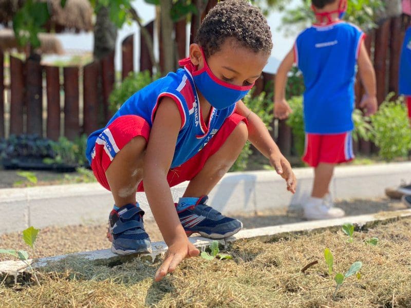 Alunos de escola municipal de Maricá participaram do plantio de hortaliças em Guaratiba