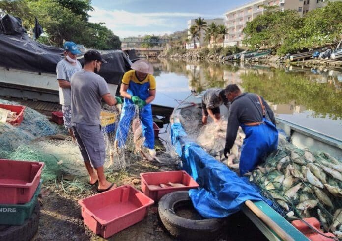 Secretaria de Saúde de Maricá não constata atendimentos associados a ingestão de peixes supostamente contaminados