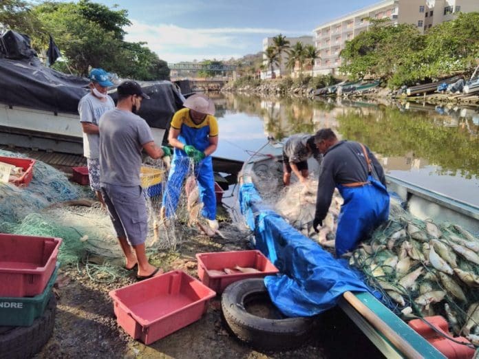 Secretaria de Saúde de Maricá não constata atendimentos associados a ingestão de peixes supostamente contaminados