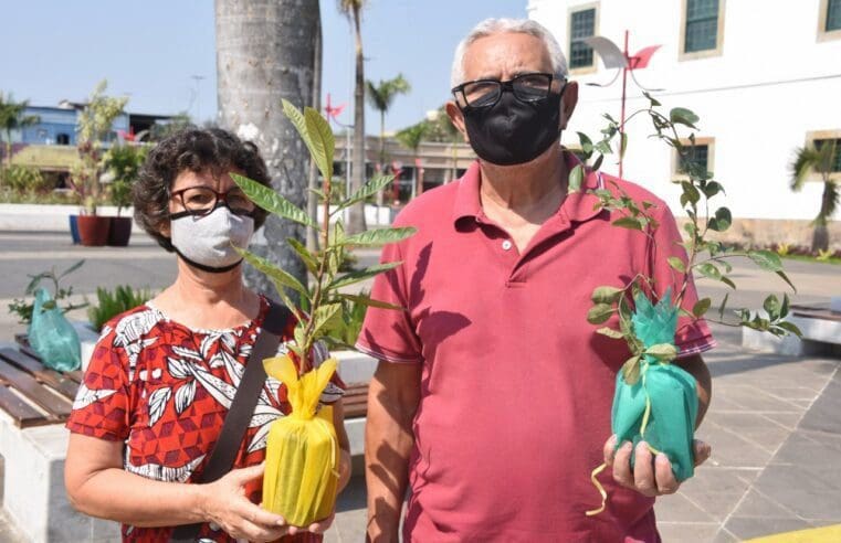 Cidade Sustentável celebra Dia da Árvore com ações no Silvado e no Centro de Maricá