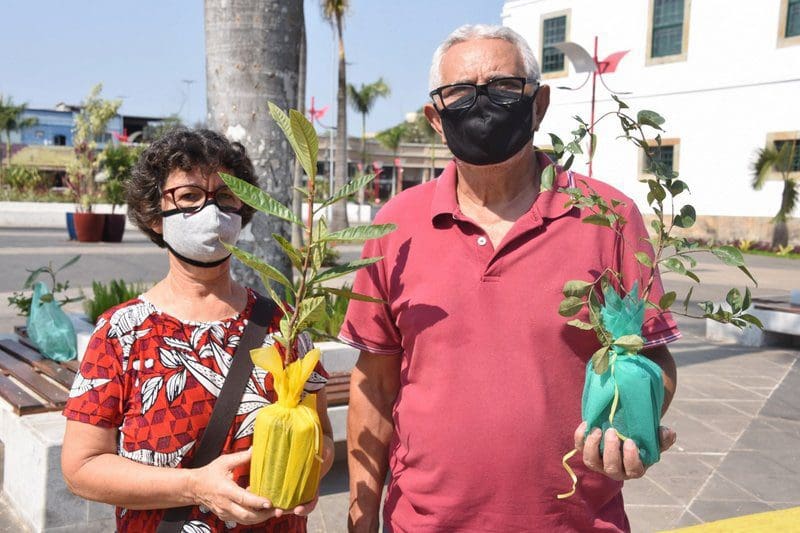 Cidade Sustentável celebra Dia da Árvore com ações no Silvado e no Centro de Maricá