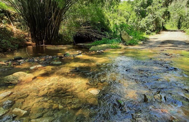 Domingo tem caminhada ecológica até o Rio Ubatiba