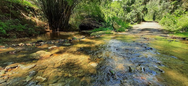 Domingo tem caminhada ecológica até o Rio Ubatiba