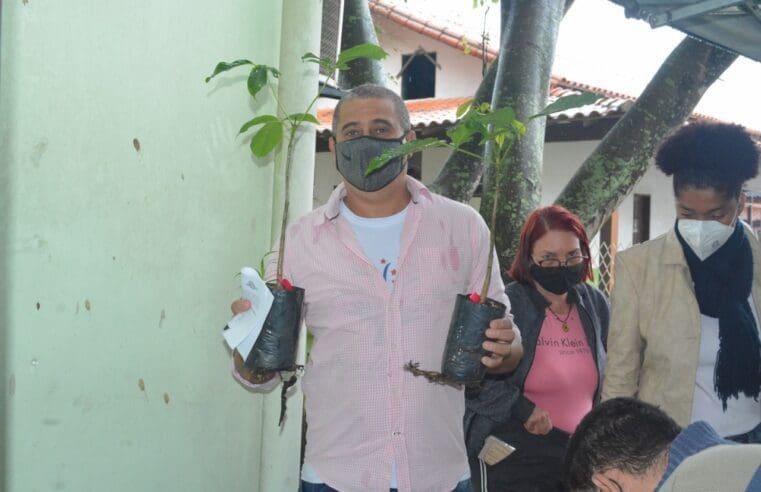 Prefeitura distribui 100 mudas de ipê-rosa em Cordeirinho