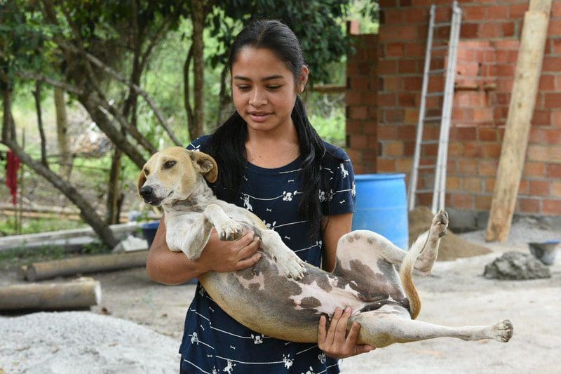 Prefeitura leva ação de saúde animal à aldeia indígena Mata Verde Bonita