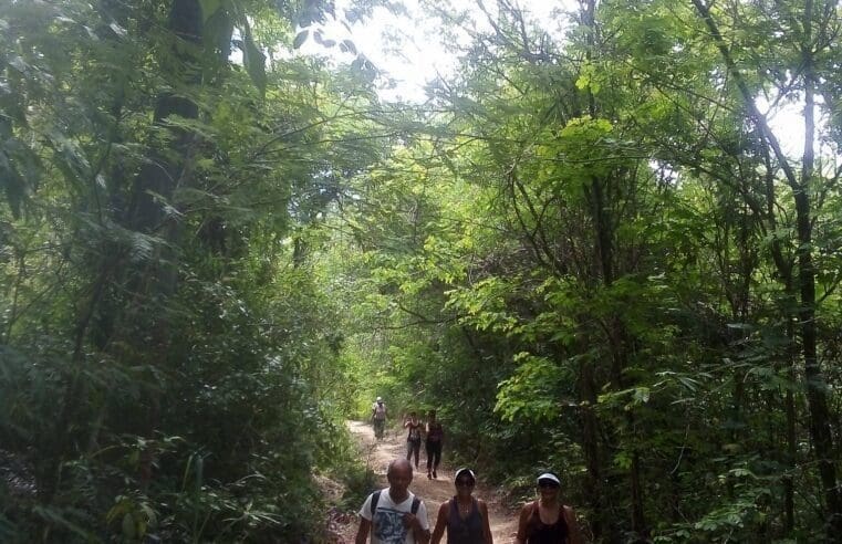 “Caminhos de Darwin” estão no circuito ecológico desta semana