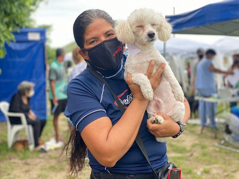 Castramóvel atende 220 caninos e felinos em Inoã