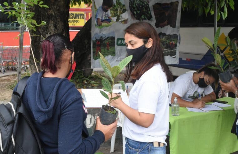 Programa Maricá+Verde acontece no bairro Marquês