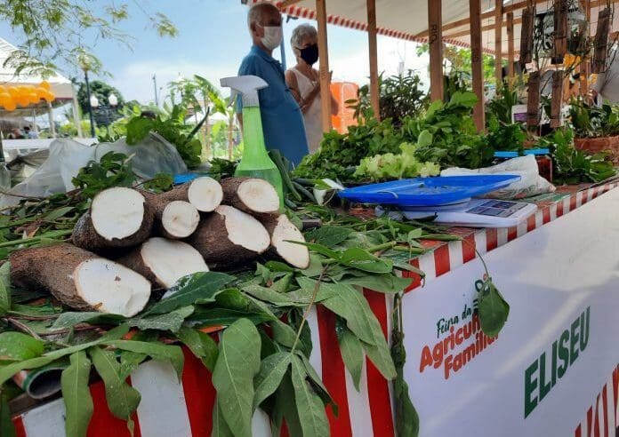 Itaipuaçu recebe Feira agroecológica neste sábado (27/07)
