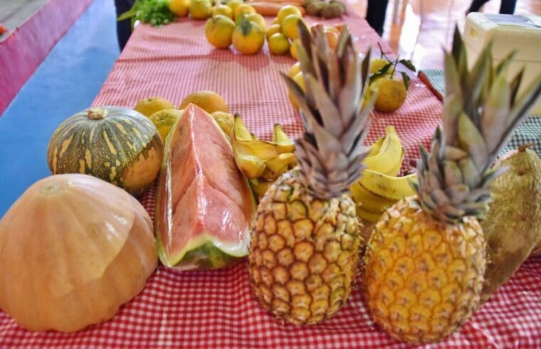 Fwd: (COM FOTOS) – Prefeitura divulga chamada pública da agricultura familiar para aquisição de alimentos da merenda escolar