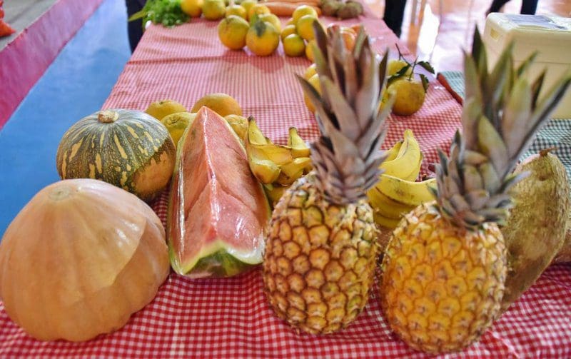 Fwd: (COM FOTOS) – Prefeitura divulga chamada pública da agricultura familiar para aquisição de alimentos da merenda escolar