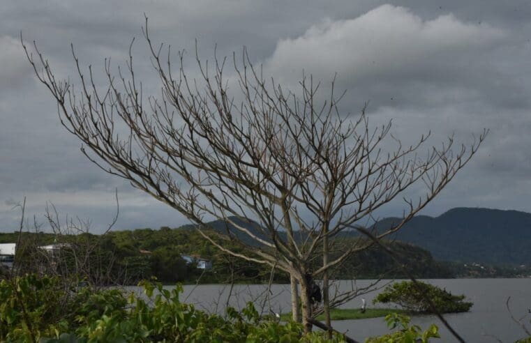 Maricá tem previsão de pancadas de chuva nesta segunda-feira (13/03)