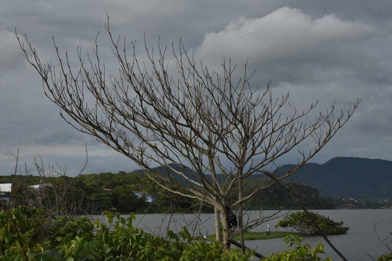 Maricá tem previsão de pancadas de chuva nesta segunda-feira (13/03)