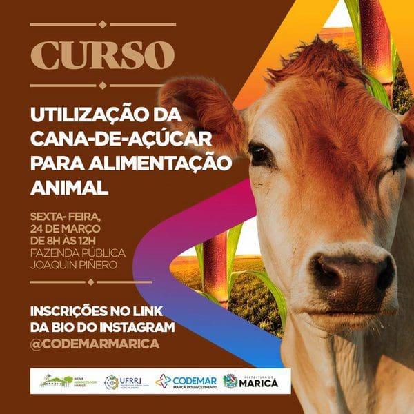 Inova Agroecologia realiza curso de utilização da canaaçúcar para alimentação animal