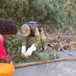 Guarda Municipal de Maricá resgata coruja ferida no Boqueirão