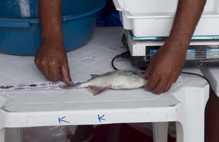 Praia de Cordeirinho recebe a segunda etapa do Circuito de Pesca Esportiva