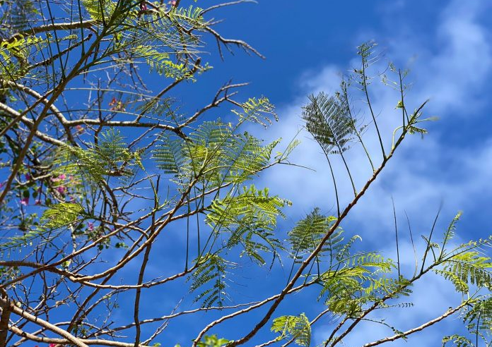 Tempo continua estável em Maricá no fim de semana