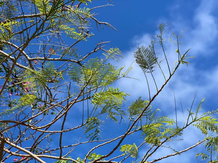 Tempo continua estável em Maricá no fim de semana