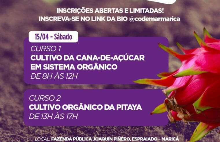 Inova realiza cursos de cultivo de pitaya e canaaçúcar neste sábado