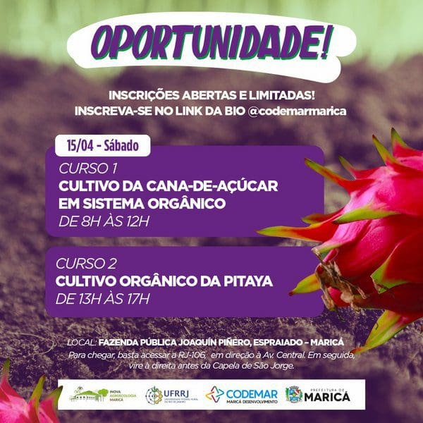 Inova realiza cursos de cultivo de pitaya e canaaçúcar neste sábado