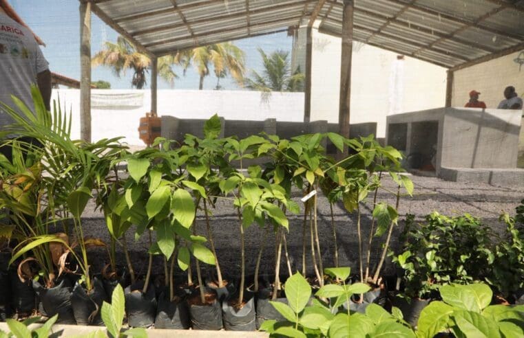 Maricá comemora Dia do Meio Ambiente com diversas ações no Centro