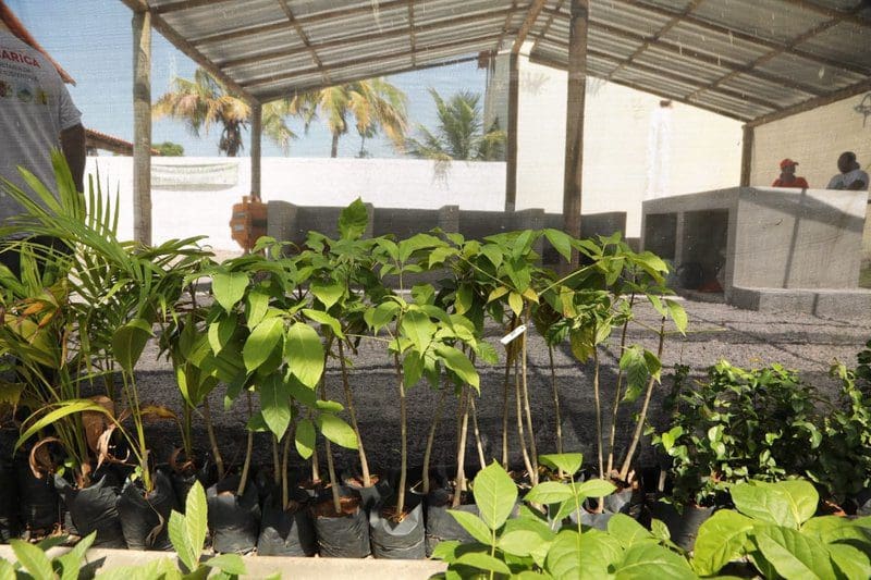 Maricá comemora Dia do Meio Ambiente com diversas ações no Centro