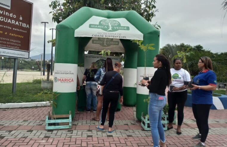 Maricá+Verde distribuirá 500 mudas em junho