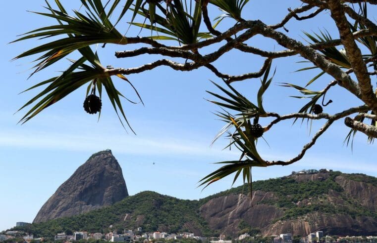 Rio de Janeiro: Justiça paralisa obras da tirolesa do Pão de Açúcar