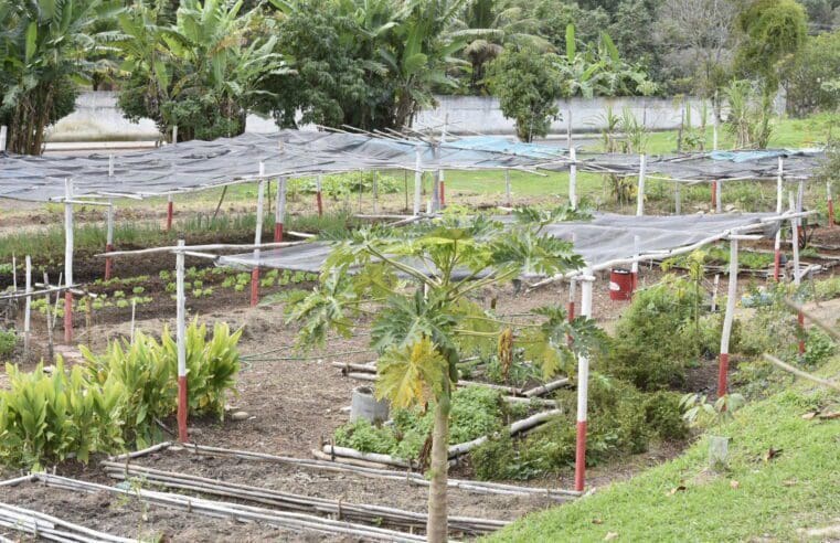 Somar promove palestra sobre controle biológico de pragas