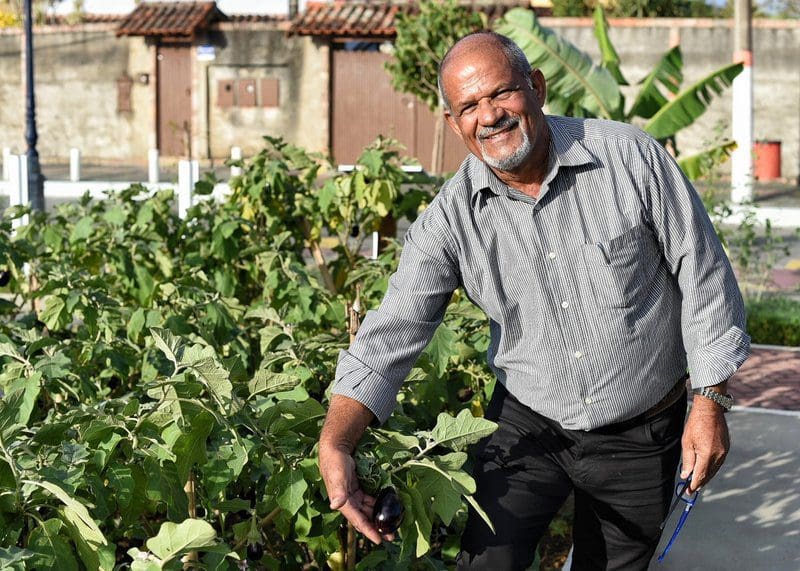 Novos moradores de Maricá se encantam com os jardins comestíveis