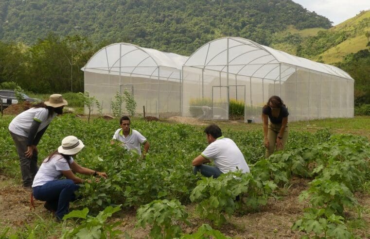 Codemar e Biotec mostram projetos em parceria com a UFRRJ na Semana Rural 2023