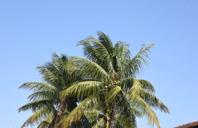 Tempo estável em Maricá até sexta-feira (04/08)