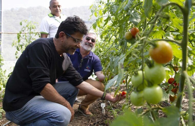 Dia Mundial da Alimentação: com projeto inovadores e sustentáveis, Codemar vira exemplo na produção de alimentos saudáveis