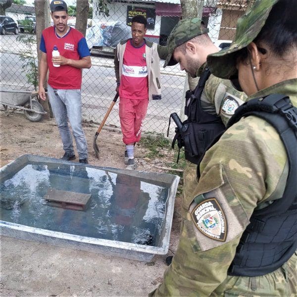 Guarda Municipal resgata tartarugas que estavam em risco em Araçatiba