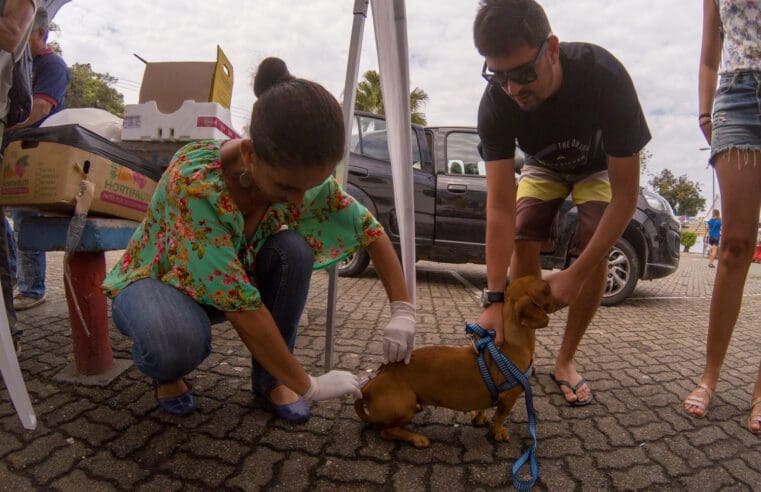 Primeira etapa da Campanha de Vacinação Antirrábica Animal começa neste sábado (21)