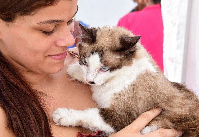 Vinte e cinco cães e gatos ganham novo lar na campanha de adoção