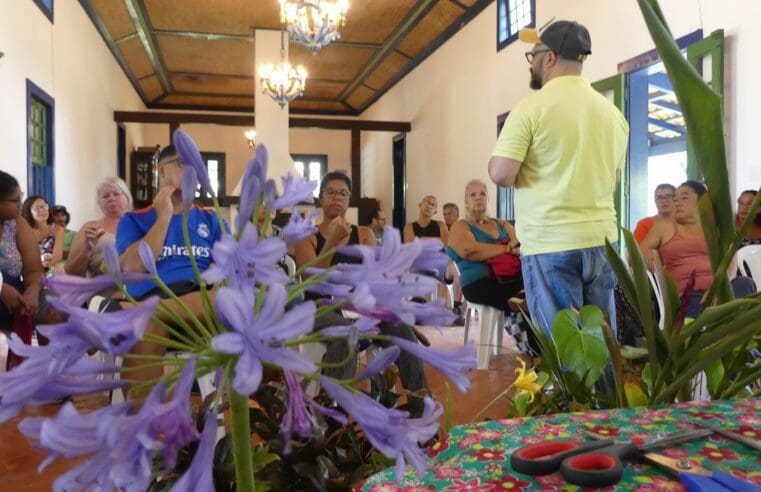 Jardins funcionais podem aumentar produção e renda de agricultores