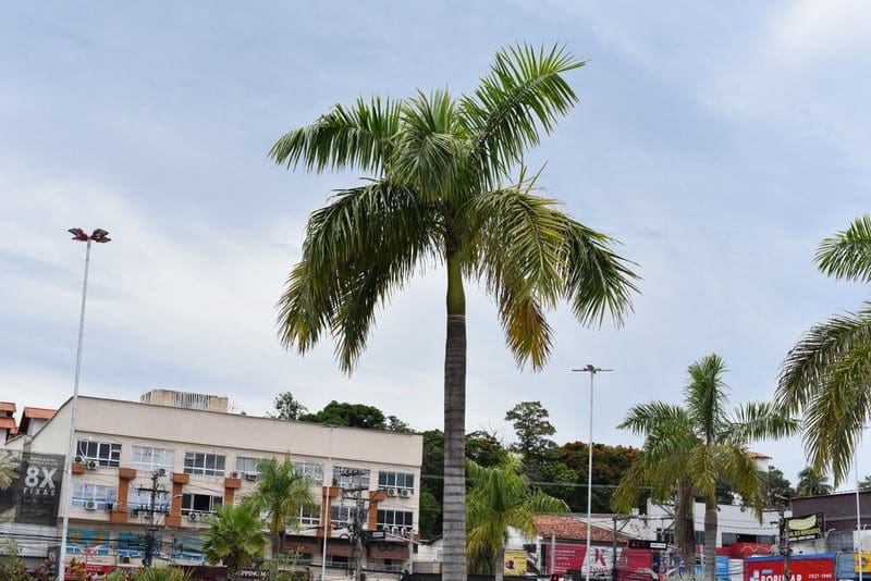 Maricá permanece com previsão de chuva