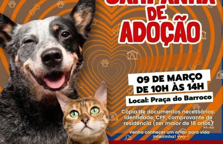 Edição especial de campanha de adoção de cães e gatos acontece em Itaipuaçu