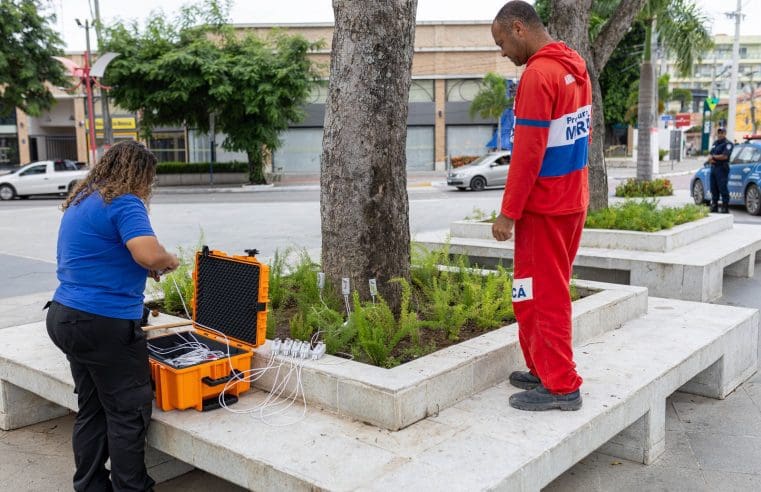 Maricá utiliza tomógrafo para avaliar saúde das árvores e evitar quedas