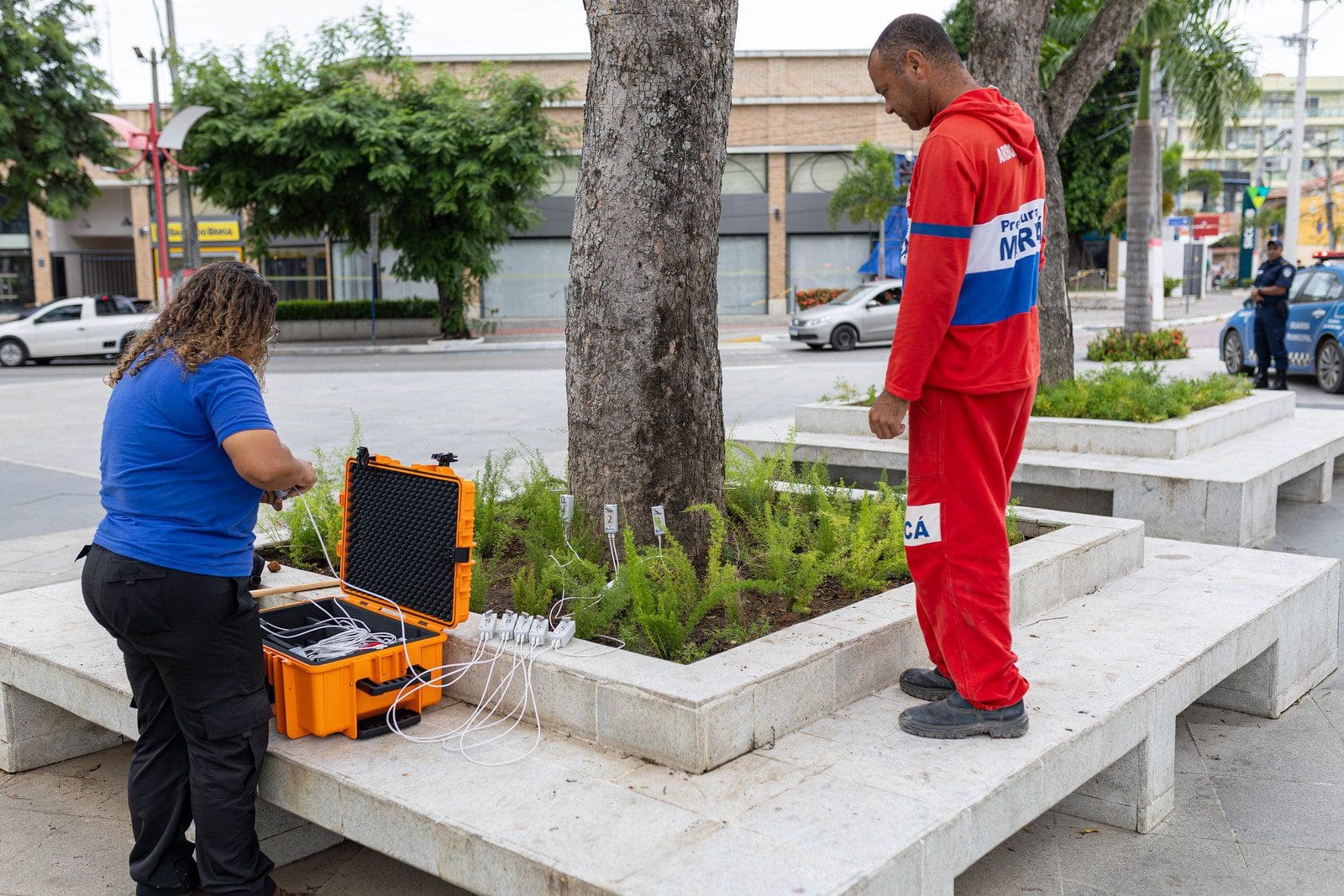 Maricá utiliza tomógrafo para avaliar saúde das árvores e evitar quedas