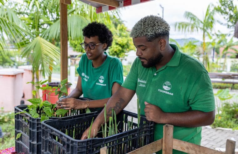 Feira Agroecológica ensina compostagem neste sábado