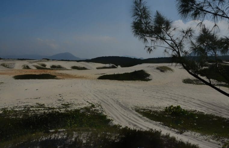 Maricá inicia restauração da restinga de toda a orla marítima